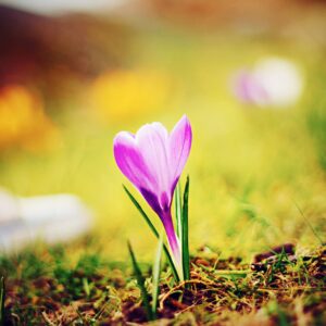 Bookkeeping Bootcamp